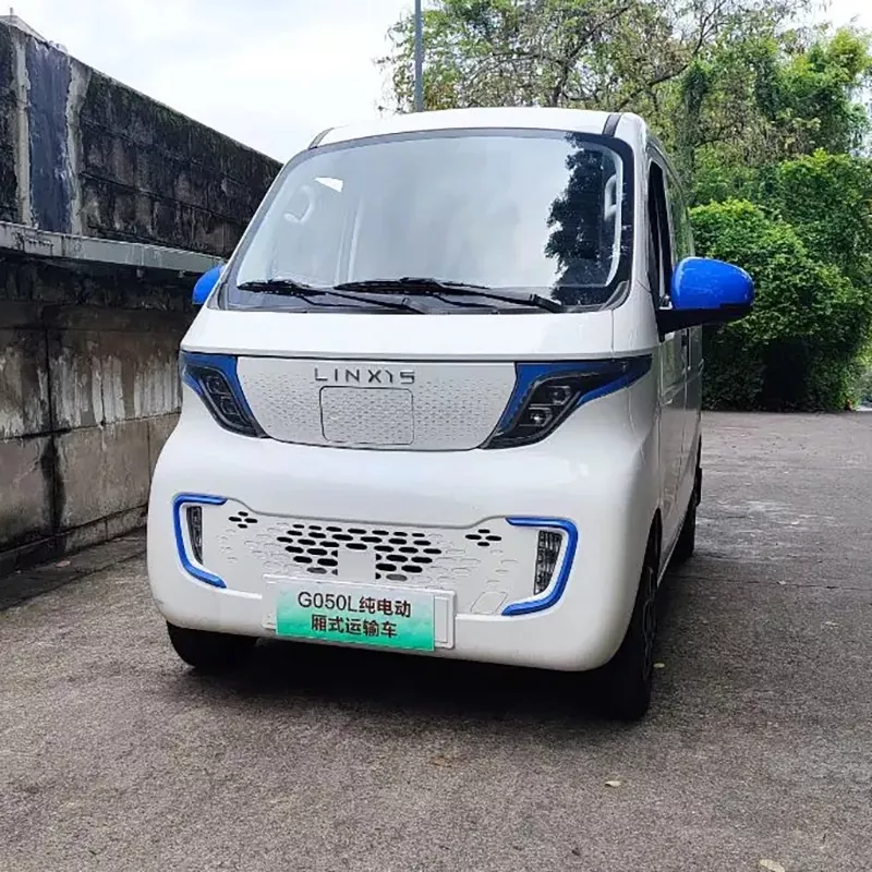 Van Mini EV