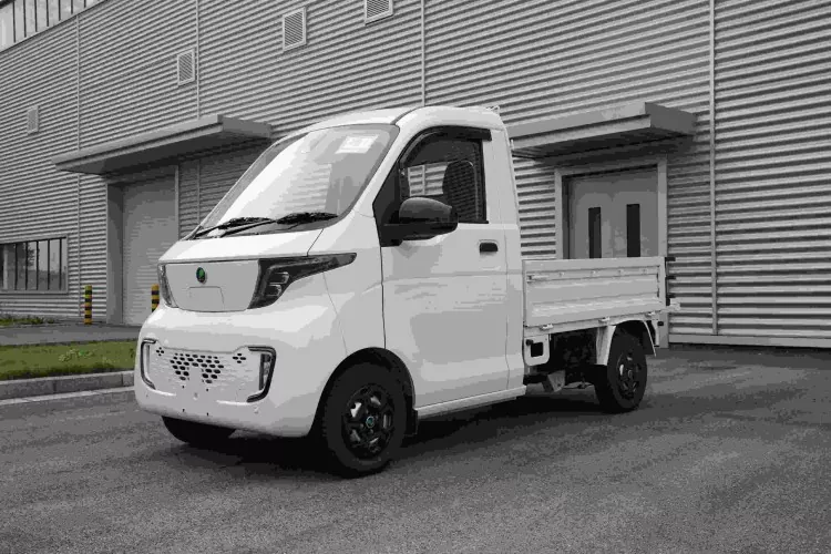 Wuling G050P Mini kargo Treuk